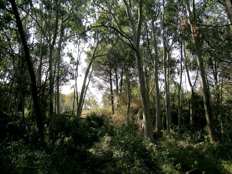 Escursione nel Salento